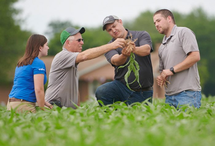 Enogen Delivers Efficient Nourishment for Cattle