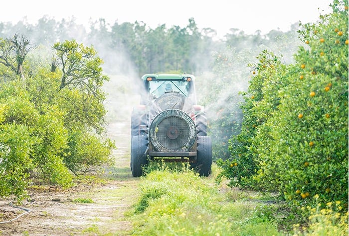 Industry Fights Against Citrus Greening