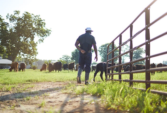 Military Veterans Make Successful Transitions to Careers in Agriculture